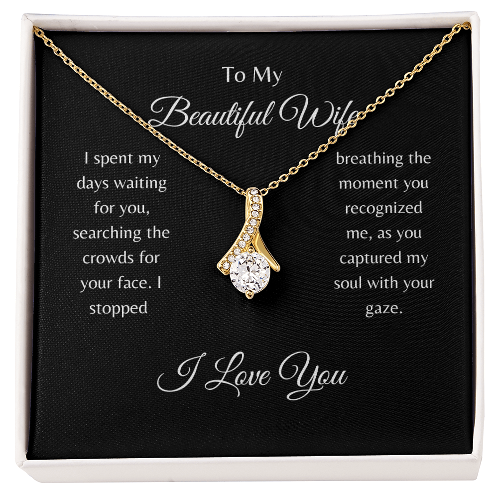 To My Beautiful Wife/ Alluring Beauty Necklace