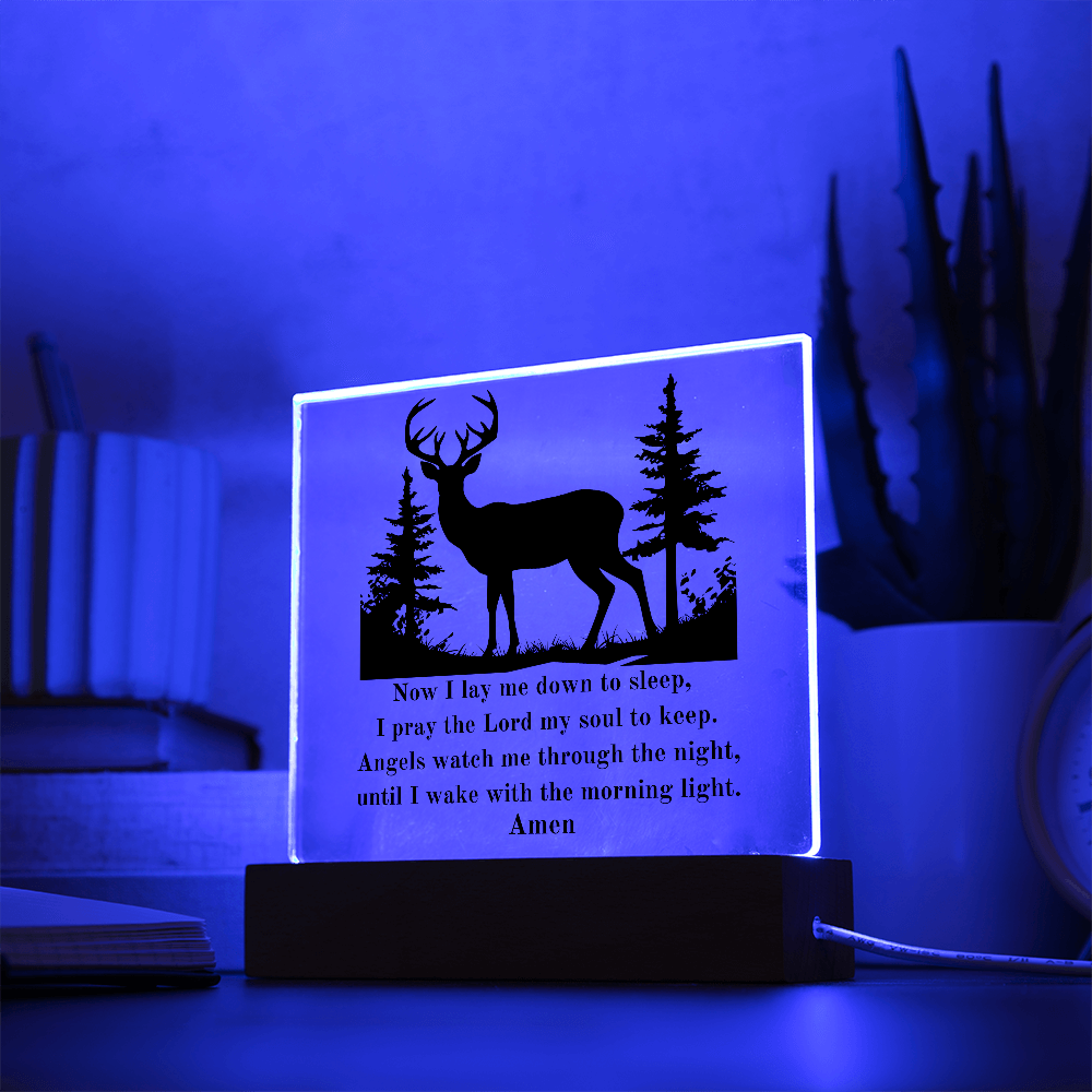 Acrylic Nursery Night Light