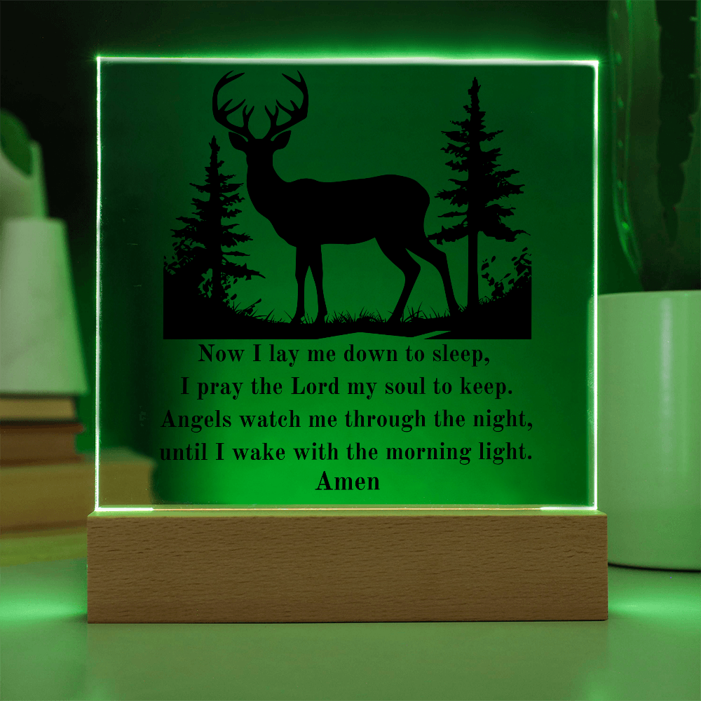 Acrylic Nursery Night Light