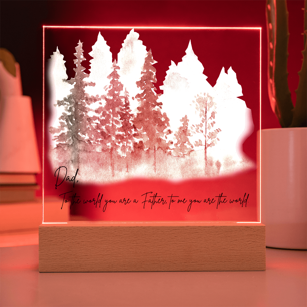 Acrylic Square Plaque/Dad To me you are the world